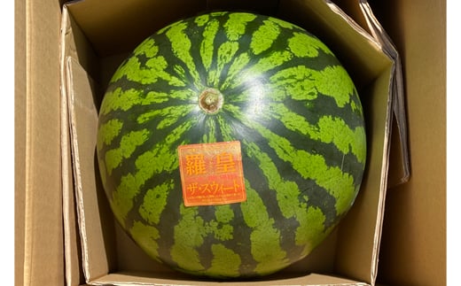 スイカ (特大玉) 羅王 1玉｜つがる市産 青森産 産直 2026年産 令和8年 夏 すいか 西瓜 果物 フルーツ 旬 特産 藤農園 農福連携 ラオウ らおう 羅皇 先行受付 [0835]