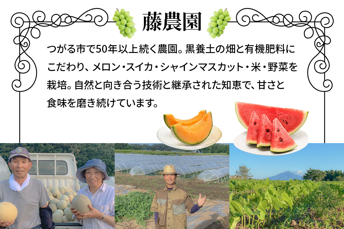 タカミメロン 2玉セット｜つがる市産 青森産 産直 2026年産 令和8年 夏 めろん 果物 フルーツ 旬 特産 藤農園 農福連携 先行受付 [0836]