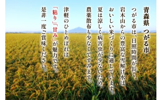 令和7年産 つがる市産「津軽のひとめぼれ」10kg｜2025年産 青森県 津軽 お米 白米 米 コメ こめ ひとめぼれ 精米 [0897]