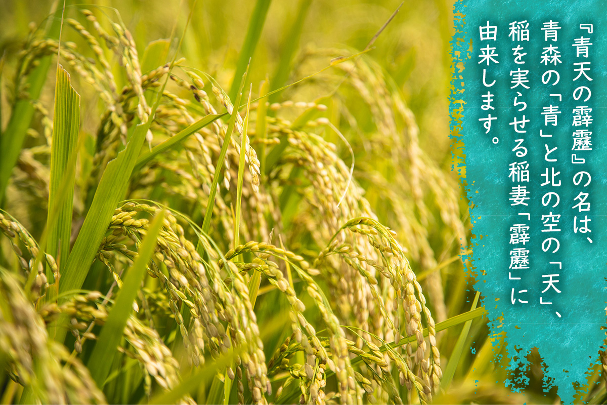 青天の霹靂 (特別栽培米) 白米10kg 令和7年産 青森県産米 [お申込み後に精米]｜2025年産 つがる市 お米 米 こめ コメ へきれき 白米 精米 特栽米 ブランド米 [0899]