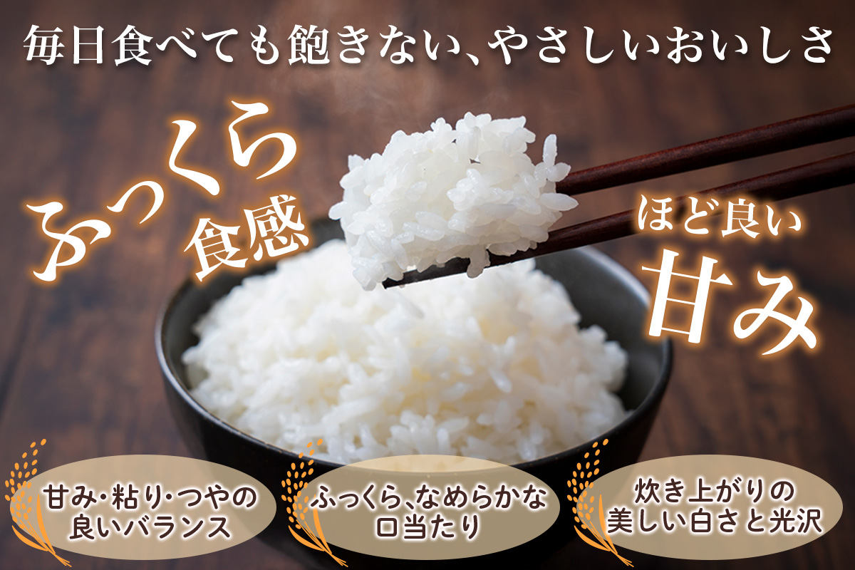 令和7年 つがる市産 はれわたり 5kg｜2025年産 お米 白米 米 コメ 精米 農協 特A [0905]