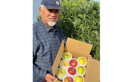 《贈答用》木村農産のりんご詰め合わせ (約6kg)・ 黄金比率ブレンド 昔ながらの100%りんご瓶ジュース (720ml×2本) のセット｜青森県産 つがる りんご リンゴ 林檎 ジュース 瓶ジュース 飲料水 フレッシュ 果物 フルーツ 令和7年産 2025年産 [0913]