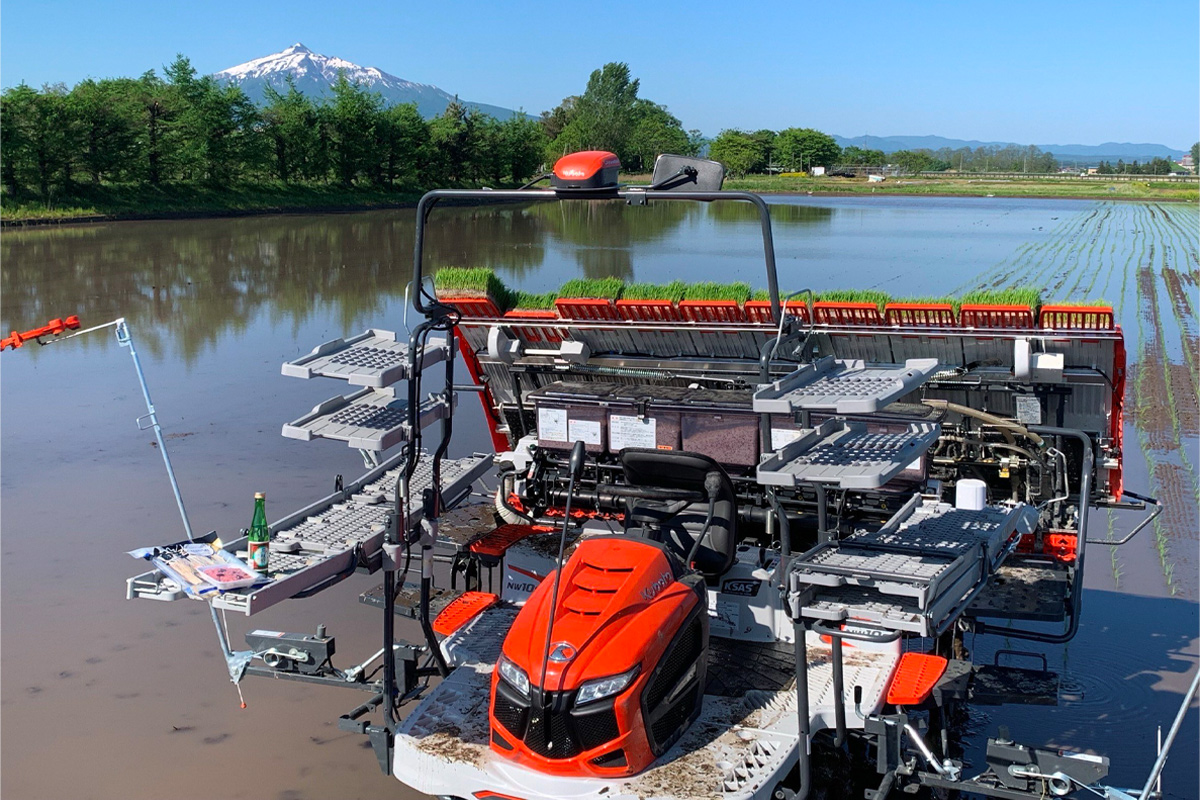 令和7年産 つがる市産 まっしぐら 白米 10kg｜2025年産 まっしぐら 白米 お米 米 コメ 精米 農協 青森 新米 [0938]