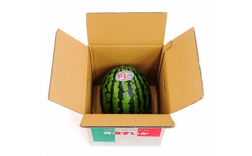 スイカ (中玉) 紅まくら1玉｜つがる市産 青森産 産直 2026年産 令和8年 夏 すいか 西瓜 果物 フルーツ 旬 特産 藤農園 農福連携 先行受付 [0962]