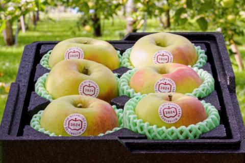 [贈答用] 名月【約2kg 6玉入り】糖度15度以上のりんご｜令和7年 2025年 ギフト 青森産 津軽 つがる りんご リンゴ 果物 フルーツ めいげつ [0678]