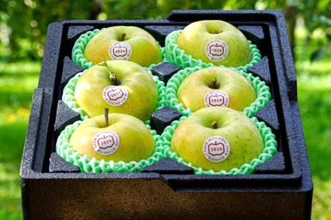 [贈答用] 王林【約2kg 6玉入り】芳醇な香りの青りんご｜青森産 津軽 つがる りんご リンゴ 果物 フルーツ [0679]