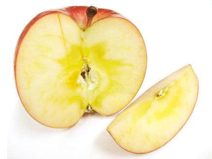 [贈答向け・傷少なめ] サンふじ りんご 特A(蜜入り) 約3kg(12玉)｜青森産 つがる 津軽 リンゴ 林檎 果物 フルーツ サンフジ 2025年 令和7年 [0719]