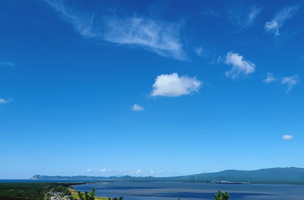 [令和8年3月第2日曜日配達] さとうしじみ屋の十三湖産活しじみ(中粒2kg)[冷蔵]｜十三湖産 青森 津軽 つがる しじみ みそ汁 味噌汁 しじみ汁 活しじみ 冷蔵 [0808]