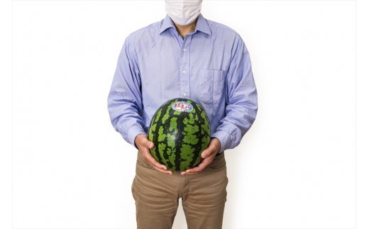 スイカ (中玉) 紅まくら1玉｜つがる市産 青森産 産直 2026年産 令和8年 夏 すいか 西瓜 果物 フルーツ 旬 特産 藤農園 農福連携 先行受付 [0962]