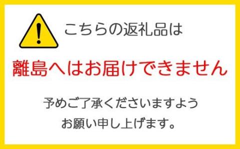 遮光器土偶の置き物 (大) 1体 つがる 亀ヶ岡焼 しきろ庵｜青森 津軽 縄文 実物大 [0414]: つがる市ANAのふるさと納税