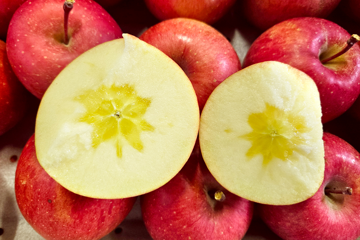 [贈答向け・傷少なめ] サンふじ りんご 特A(蜜入り) 約5kg(20玉)｜青森産 つがる 津軽 リンゴ 林檎 果物 フルーツ サンフジ 2025年 令和7年 [0720]