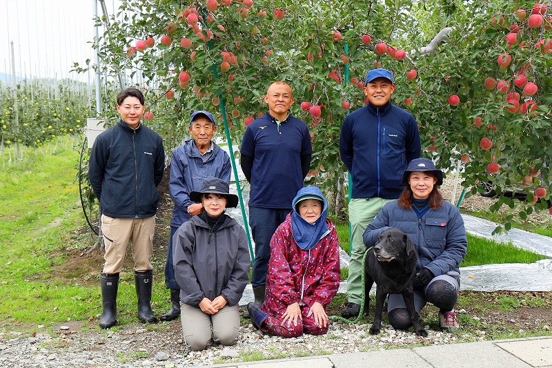 完熟！葉とらずサンふじ 5kg｜青森産 青森りんご りんご リンゴ 林檎 果物 フルーツ さんふじ サンフジ 令和7年 2025年 [0891]