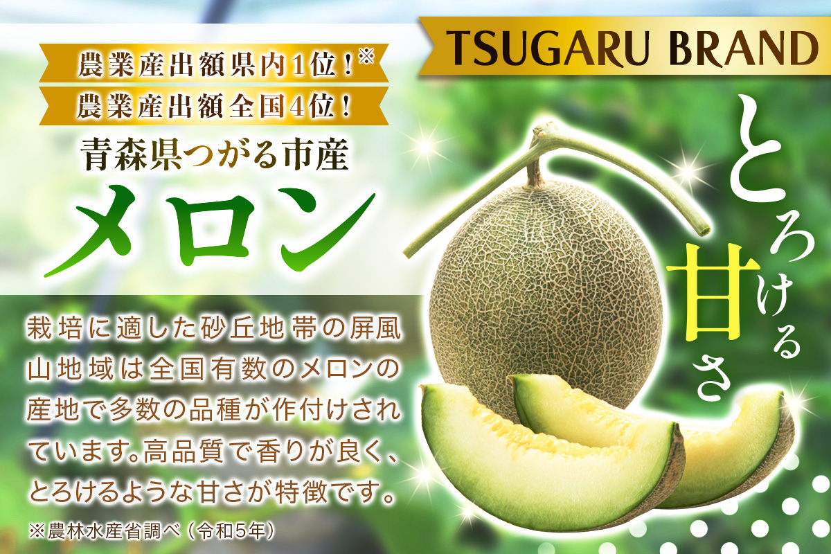 メロン [タカミ] [ユウカ] 2玉セット｜つがる市産 青森産 産直 2026年産 令和8年 夏 めろん 果物 フルーツ 旬 特産 藤農園 農福連携 先行受付 [0837]