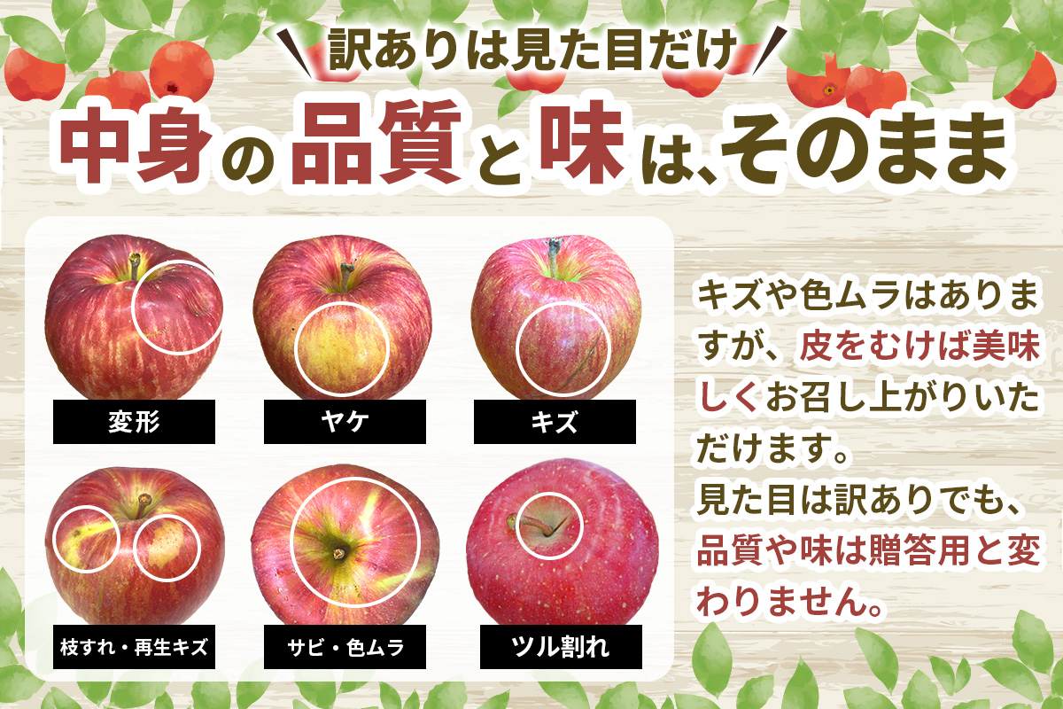 家庭用りんご サンふじ 3kg (9玉から12玉入り 3kg 1箱)  見た目にわけあり 味はそのまま｜令和7年産 2025年産 青森 津軽 つがる りんご リンゴ サンフジ 訳あり 訳アリ 果物 旬 青森りんご [0838]