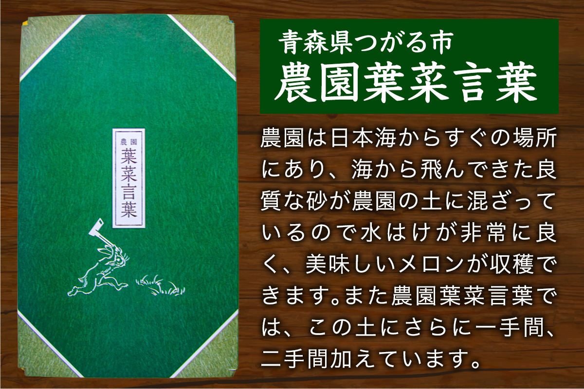 高級 メロン『浮世離れ』1玉【2026年7月下旬から8月上旬まで順次発送】一度は食べてみたい！市場に出回らない｜青森県 青森産 津軽 つがる めろん メロン 果物 フルーツ 夏メロン 青森メロン [0893]