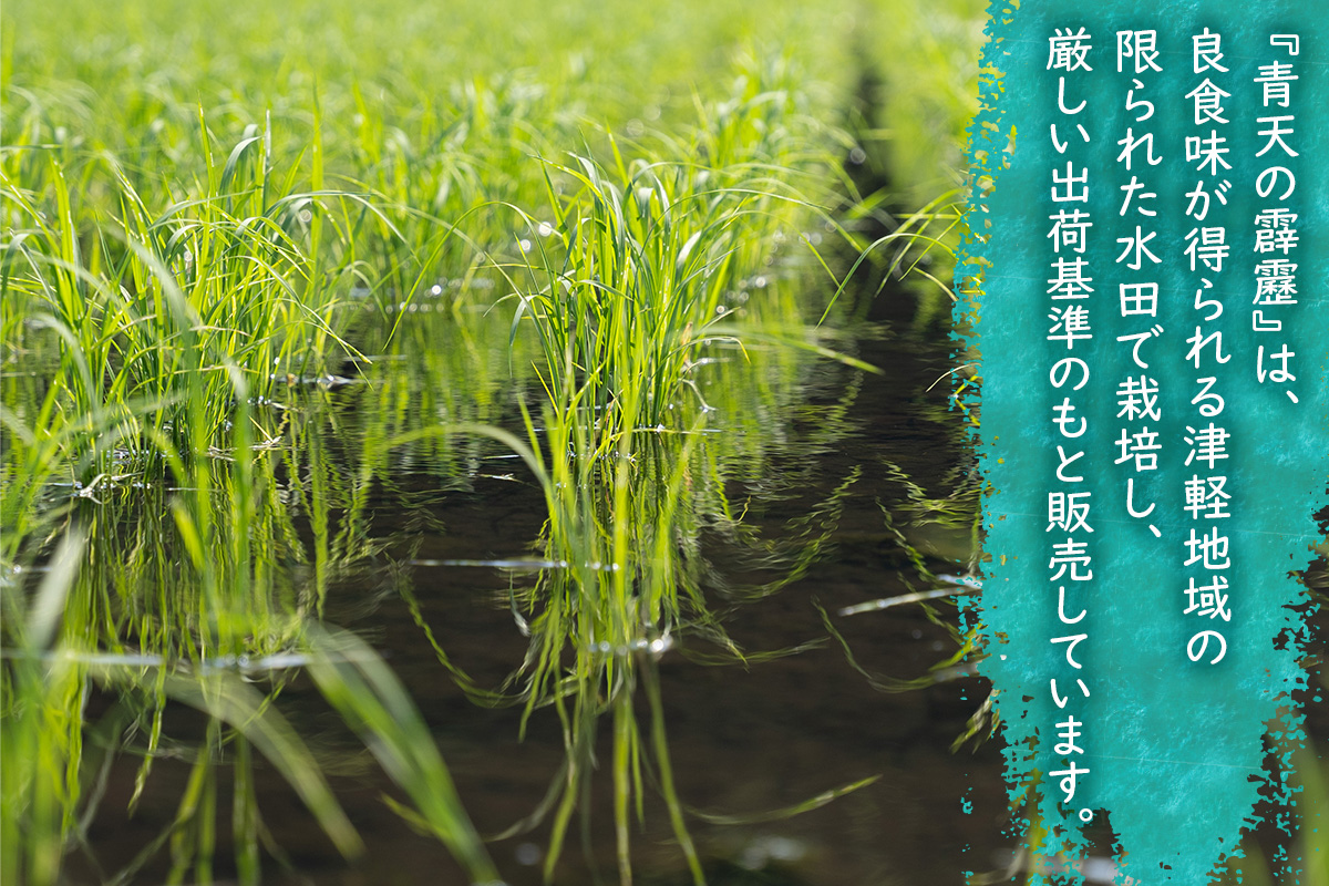 青天の霹靂 (特別栽培米) 白米5kg 令和7年産 青森県産米 [お申込み後に精米]｜2025年産 つがる市 お米 米 こめ コメ へきれき 白米 精米 特栽米 ブランド米 [0898]
