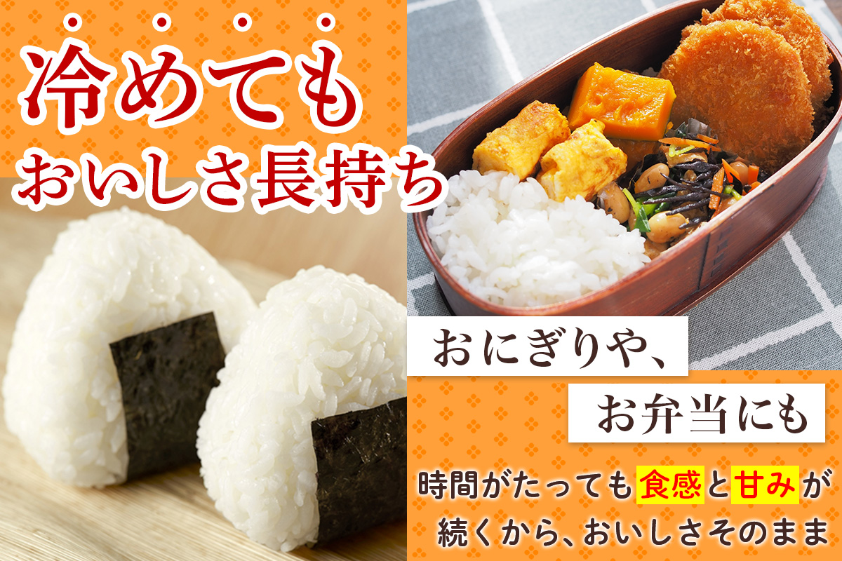 令和7年 つがる市産 はれわたり 5kg｜2025年産 お米 白米 米 コメ 精米 農協 特A [0905]