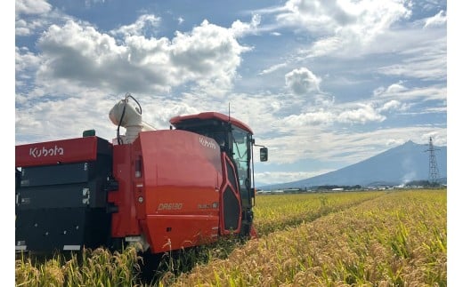 令和7年産 つがる市産 まっしぐら 白米 2kg｜2025年産 まっしぐら 白米 お米 米 コメ 精米 農家 青森 [0935]