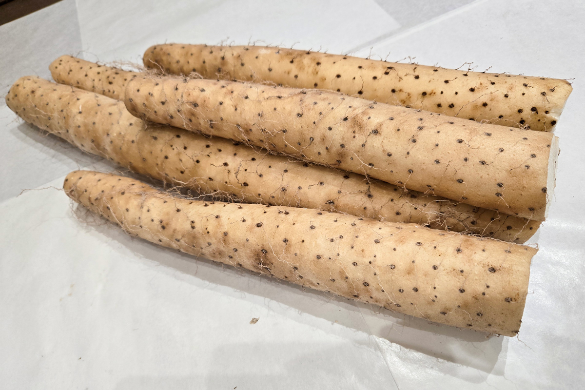 訳あり ながいも 約4kg (洗い)｜長いも 長芋 ナガイモ 山芋 ヤマイモ やまいも 訳アリ とろろ 滋養強壮 青森産 [0943]