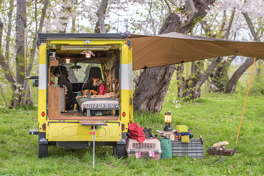 バグトラック パネルバン (軽トラキャンピングCAR)バグトラック バグトラ ターボー アウトドア キャンプ キャンピングカー 車中泊 車 犬 快適 自由 [0547]