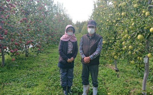 りんご サンふじ 約5kg (14玉から18玉) 青森産 つがる市【2025年11月下旬より順次発送】｜青森県産 津軽 つがる リンゴ 果物 フルーツ 青森 ふじ さんふじ サンフジ 令和7年 2025年 [0612]