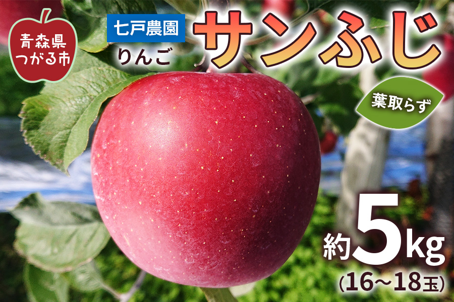 りんご サンふじ 葉取らず 約5kg(16～18玉) 青森産 つがる市【2024年11 