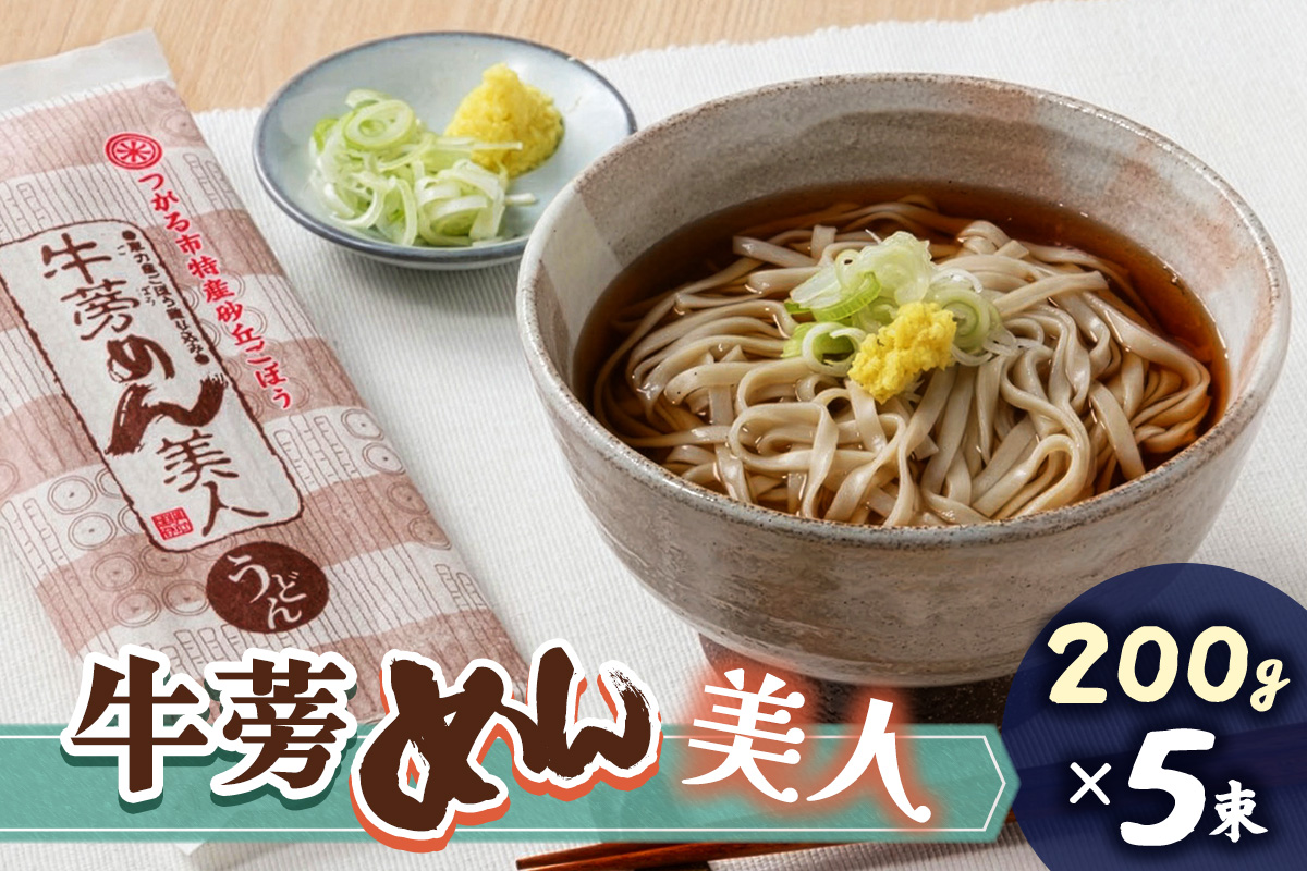 牛蒡めん美人 1箱 ｜国産 青森 つがる つがるブランド ごぼう ゴボウ 麺 めん メン 食物繊維 [0378]