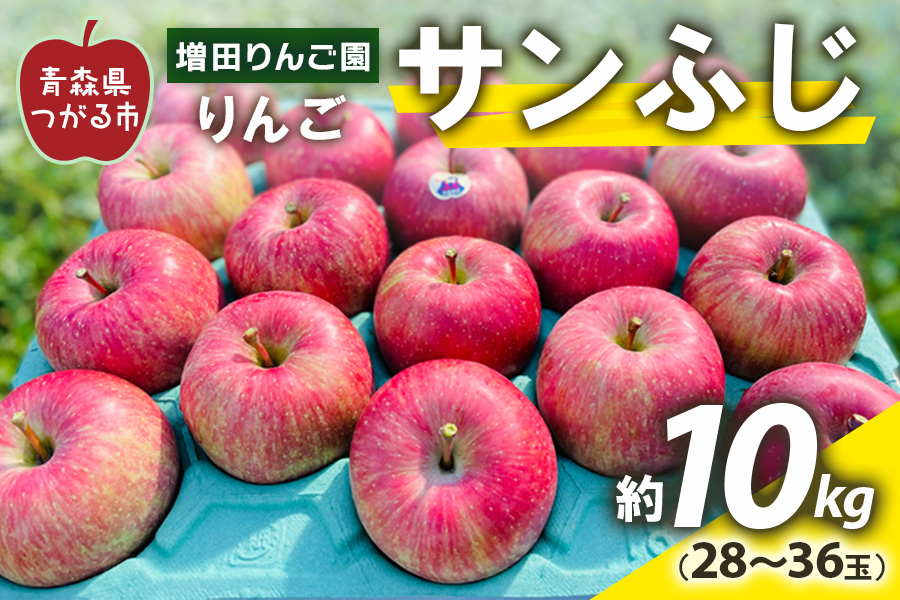 りんご サンふじ 約10kg (28玉から36玉) 青森産 つがる市【2025年11月下旬より順次発送】｜青森県産 津軽 つがる リンゴ 果物 フルーツ 青森 ふじ さんふじ サンフジ 令和7年 2025年 [0613]