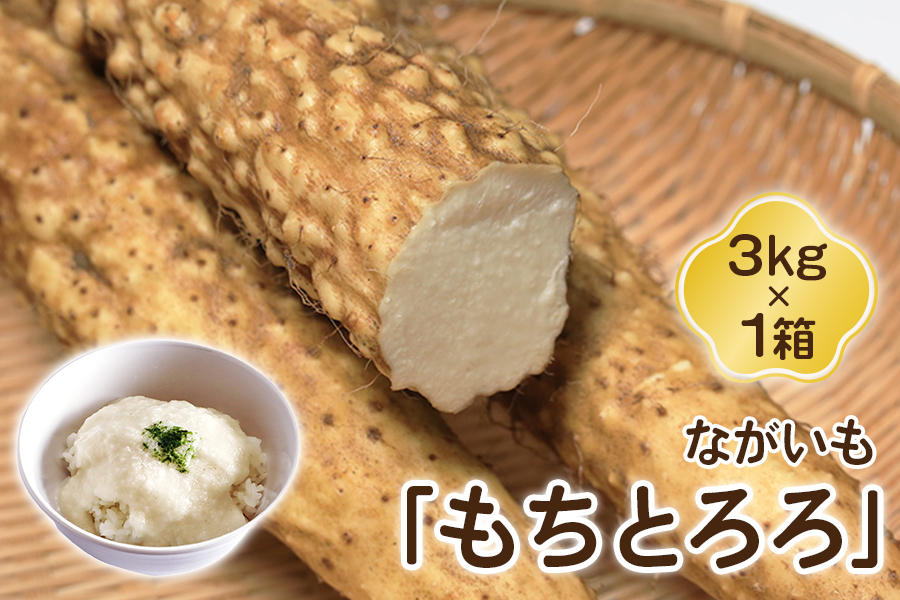 ながいも「もちとろろ」3kg×1箱｜青森産 長芋 長いも なが芋 野菜 とろろご飯 [0631]