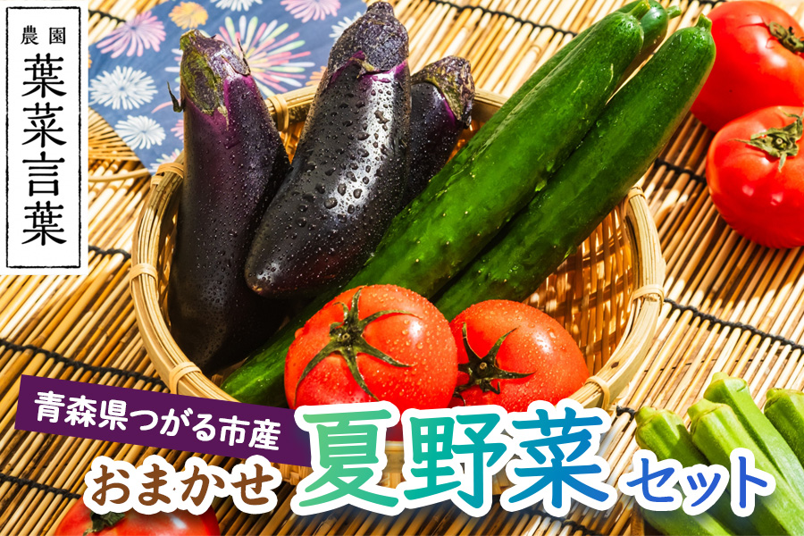 葉菜言葉のおまかせ夏野菜セット 約1kg 令和8年産｜旬の野菜 夏 野菜セット 冷蔵 詰め合わせ 産直 農家直送 新鮮 ギフト サラダ 2026年産 [0636]