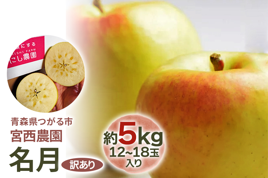 [訳あり] 名月【約5kg 12から18玉入り】糖度15度以上のりんご｜令和7年 2025年 訳アリ 訳あり 家庭用 青森産 津軽 つがる りんご リンゴ 果物 フルーツ めいげつ [0688]