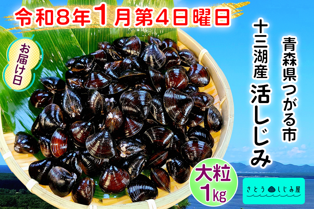 [令和8年1月第4日曜日配達] さとうしじみ屋の十三湖産活しじみ(大粒1kg)[冷蔵]｜十三湖産 青森 津軽 つがる しじみ みそ汁 味噌汁 しじみ汁 活しじみ 冷蔵 [0819]