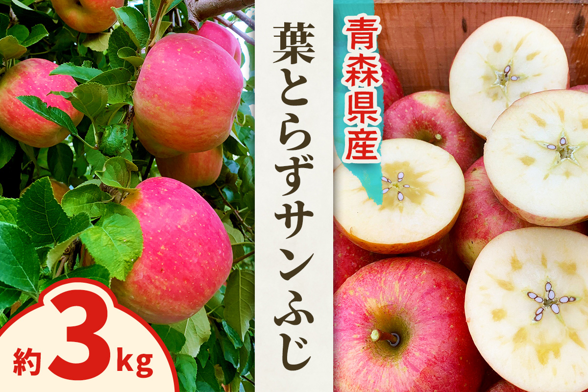 完熟！葉とらずサンふじ 3kg｜青森産 青森りんご りんご リンゴ 林檎 果物 フルーツ さんふじ サンフジ 令和7年 2025年 [0890]