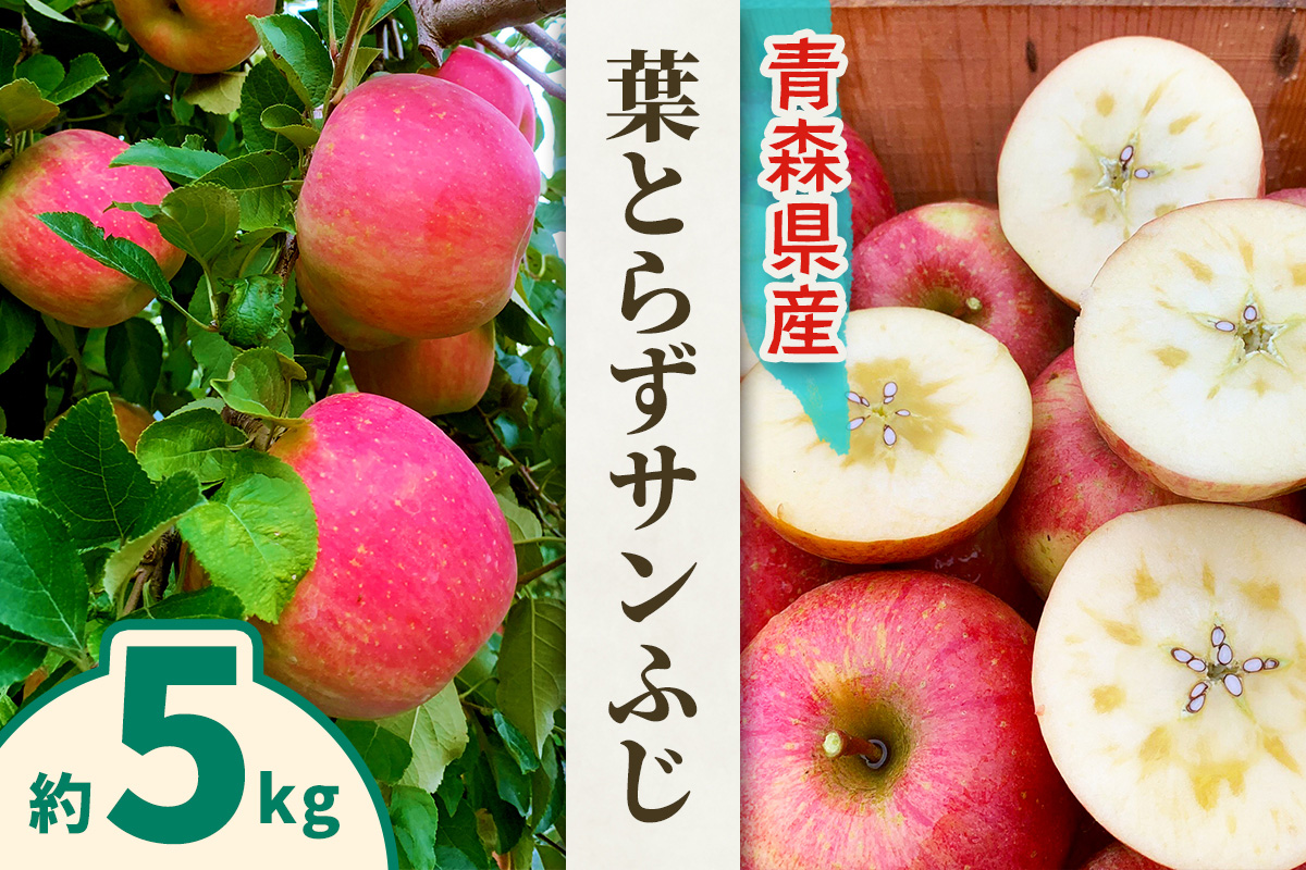 完熟！葉とらずサンふじ 5kg｜青森産 青森りんご りんご リンゴ 林檎 果物 フルーツ さんふじ サンフジ 令和7年 2025年 [0891]