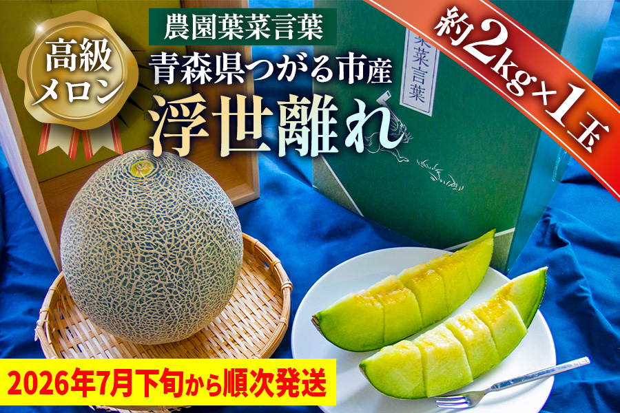 高級 メロン『浮世離れ』1玉【2026年7月下旬から8月上旬まで順次発送】一度は食べてみたい！市場に出回らない｜青森県 青森産 津軽 つがる めろん メロン 果物 フルーツ 夏メロン 青森メロン [0893]