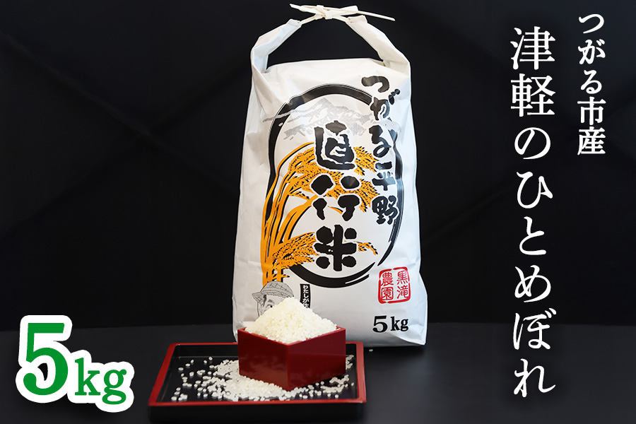 令和7年産 つがる市産「津軽のひとめぼれ」5kg｜2025年産 青森県 津軽 お米 白米 米 コメ こめ ひとめぼれ 精米 新米 [0896]