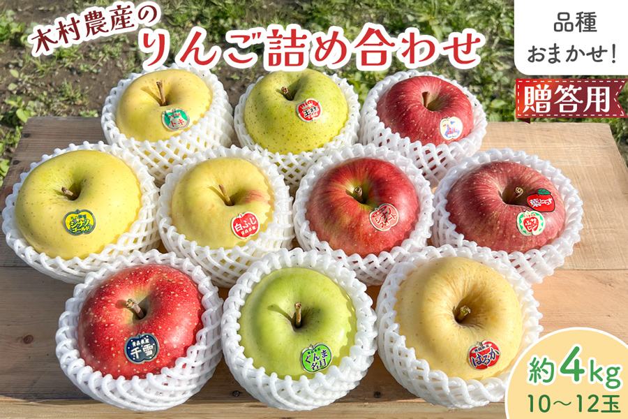 木村農産のりんご詰め合わせ (贈答用) 約4kg (10玉から12玉)｜青森県産 つがる リンゴ 林檎 果物 フルーツ 令和7年産 2025年産 [0909]
