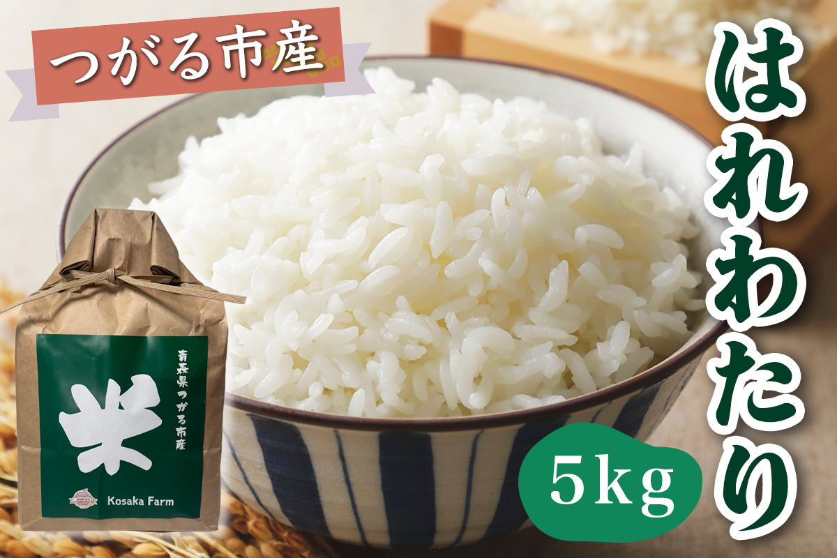 令和7年産 つがる市産 はれわたり 白米 5kg｜2025年産 はれわたり 白米 お米 米 コメ 精米 農家 特A 青森 [0932]