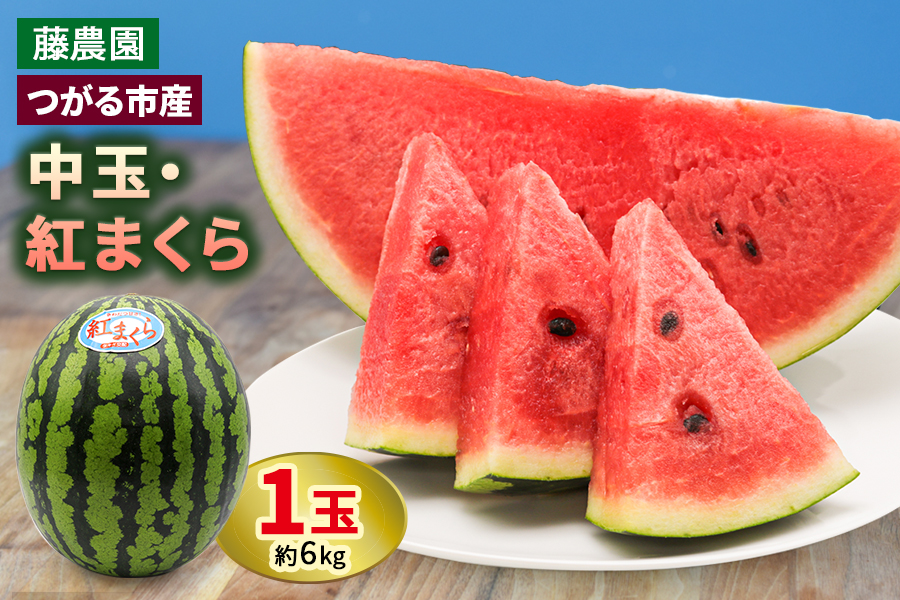 スイカ (中玉) 紅まくら1玉｜つがる市産 青森産 産直 2026年産 令和8年 夏 すいか 西瓜 果物 フルーツ 旬 特産 藤農園 農福連携 先行受付 [0962]