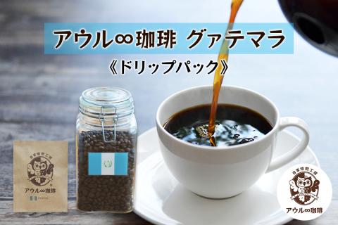 アウル∞珈琲 グァテマラ｜ドリップパック 自家焙煎 コーヒー [0668]