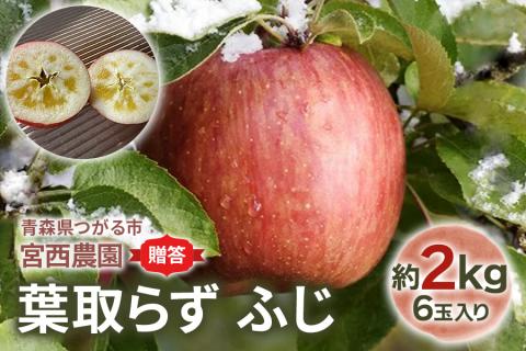 [贈答用] 葉取らずふじ【約2kg 6玉入り】園主選抜の特選りんご｜青森産 津軽 つがる りんご リンゴ 果物 フルーツ [0680]