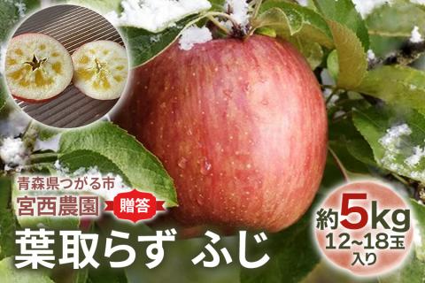 [贈答] 葉取らずふじ【約5kg 12から18玉入り】園主選抜の特選りんご｜令和7年 2025年 ギフト 青森産 津軽 つがる りんご リンゴ 果物 フルーツ フジ [0685]