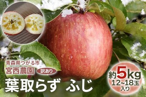 [訳あり] 葉取らず ふじ【約5kg 12から18玉入り】｜令和7年 2025年 訳アリ 訳あり 家庭用 青森産 津軽 つがる りんご リンゴ 果物 フルーツ フジ [0690]