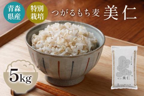 [青森県産もち麦・特別栽培] (農薬・化学肥料不使用) つがるもち麦 美仁 5kg｜津軽 食物繊維 [0344]