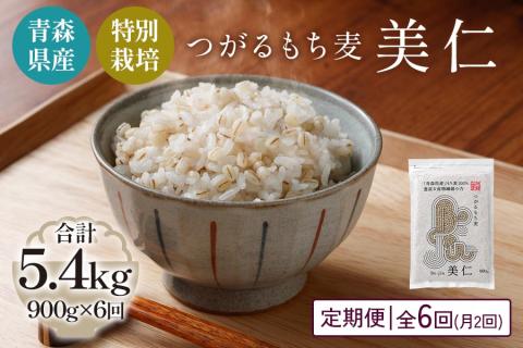 [青森県産もち麦・特別栽培] (農薬・化学肥料不使用) つがるもち麦 美仁 900g《定期便/全6回/1ヶ月に2回お届け》｜津軽 食物繊維 [0402]