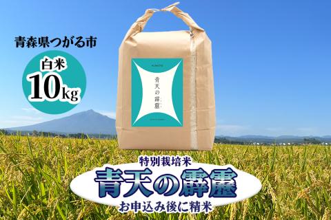 青天の霹靂 (特別栽培米) 白米10kg 令和7年産 青森県産米 [お申込み後に精米]｜2025年産 つがる市 お米 米 こめ コメ へきれき 白米 精米 特栽米 ブランド米 [0899]