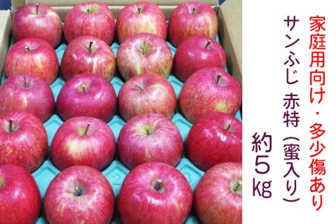 [家庭用向け・多少傷あり] サンふじ りんご 赤特(蜜入り) 約5kg(20玉)｜青森産 つがる 津軽 リンゴ 林檎 果物 フルーツ サンフジ 2025年 令和7年 [0718]