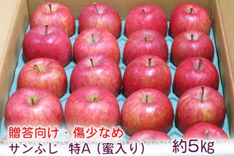 [贈答向け・傷少なめ] サンふじ りんご 特A(蜜入り) 約5kg(20玉)｜青森産 つがる 津軽 リンゴ 林檎 果物 フルーツ サンフジ 2025年 令和7年 [0720]