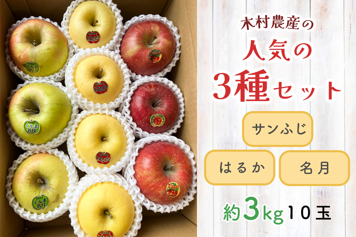 木村農産の人気の3種セット (サンふじ・はるか・名月) 約3kg 10個入り ｜青森県産 つがる りんご リンゴ 林檎 サンふじ さんふじ はるか ハルカ  名月 めいげつ 果物 フルーツ 令和7年産 2025年産 [0948]