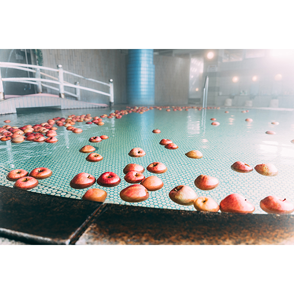 【温泉の街・平川市】平川市温泉共通利用券（200円券10枚綴り）